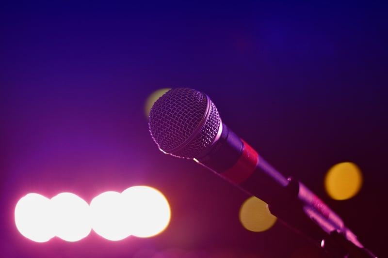 Karaoke Fun